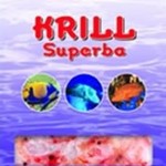 Ocean Nutrition Krill superba entier