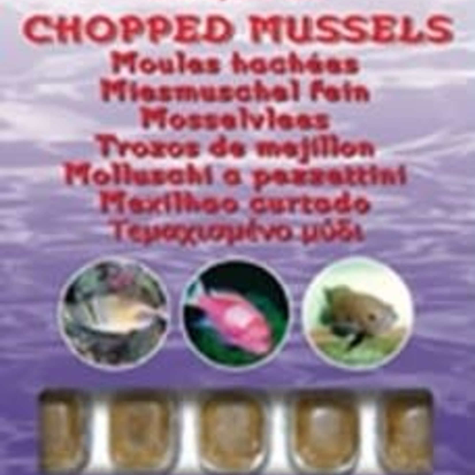 Ocean Nutrition Mosselvlees - 100gr