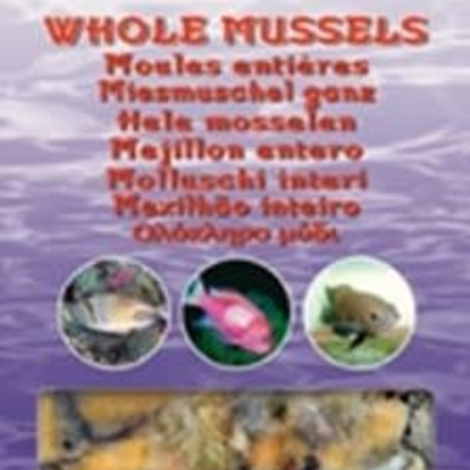 Ocean Nutrition Moules entières - 100gr