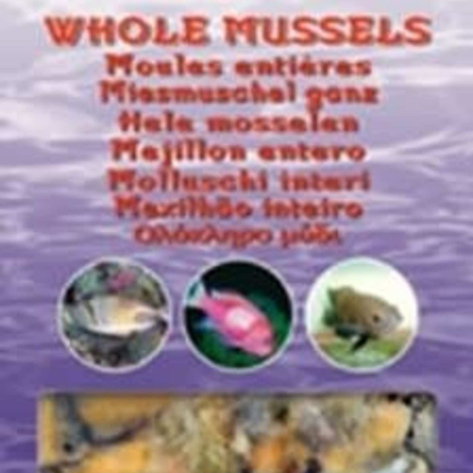 Ocean Nutrition Whole mussels - 100gr