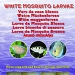 Ocean Nutrition Witte muggenlarven - witte muggenlarven