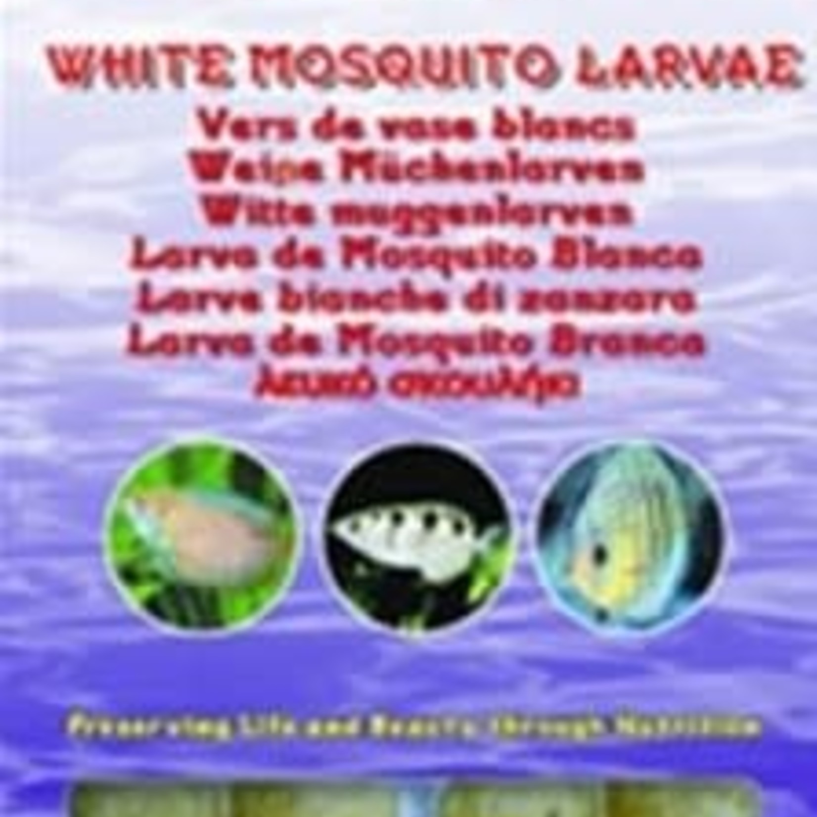 Ocean Nutrition Larves de moustiques blancs - vers de vase blancs - 100gr
