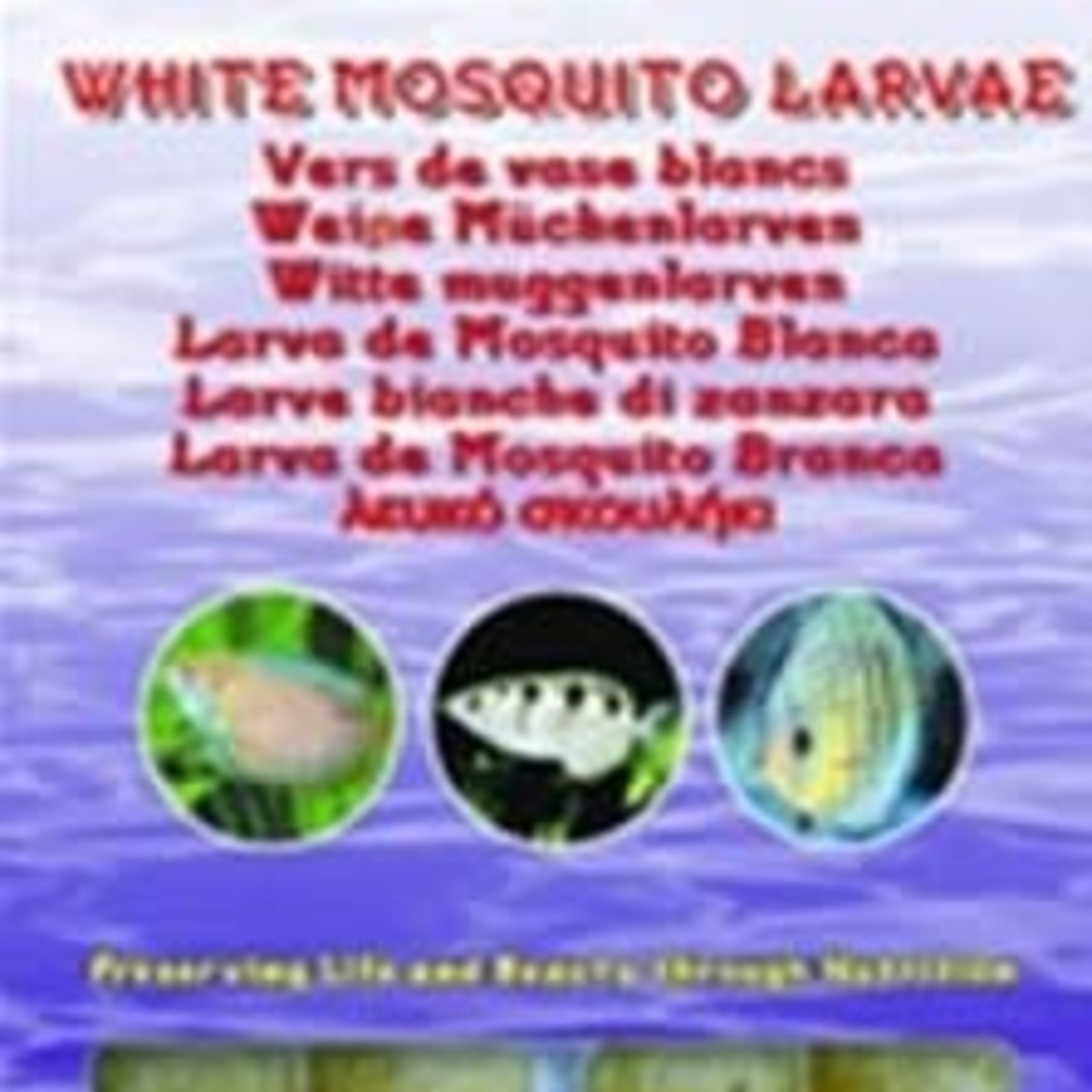 Ocean Nutrition White mosquito larvae - white bloodworms - 100gr