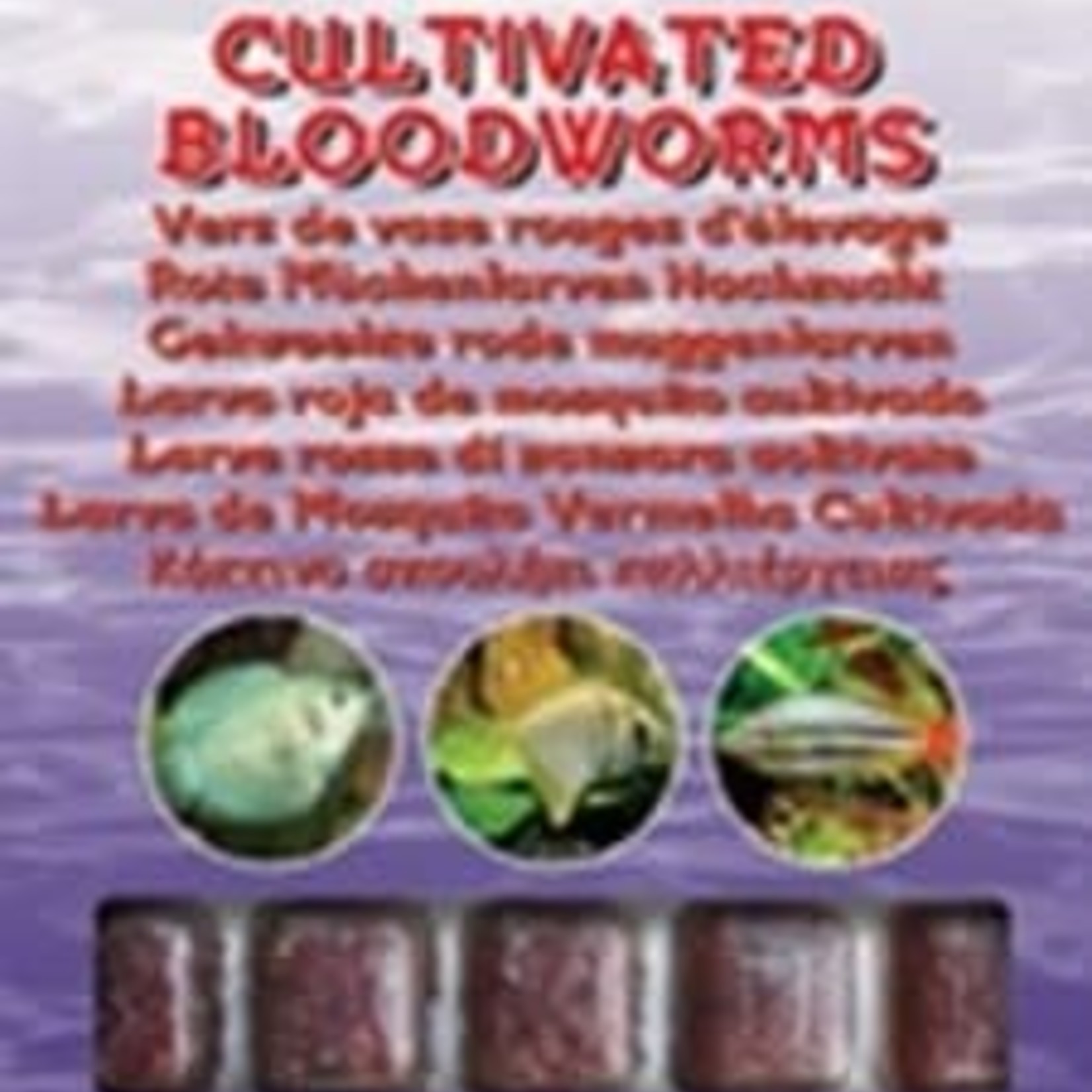 Ocean Nutrition Red bloodworms (breeding) 100gr