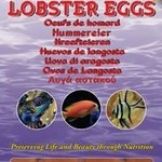 Ocean Nutrition Lobster eggs