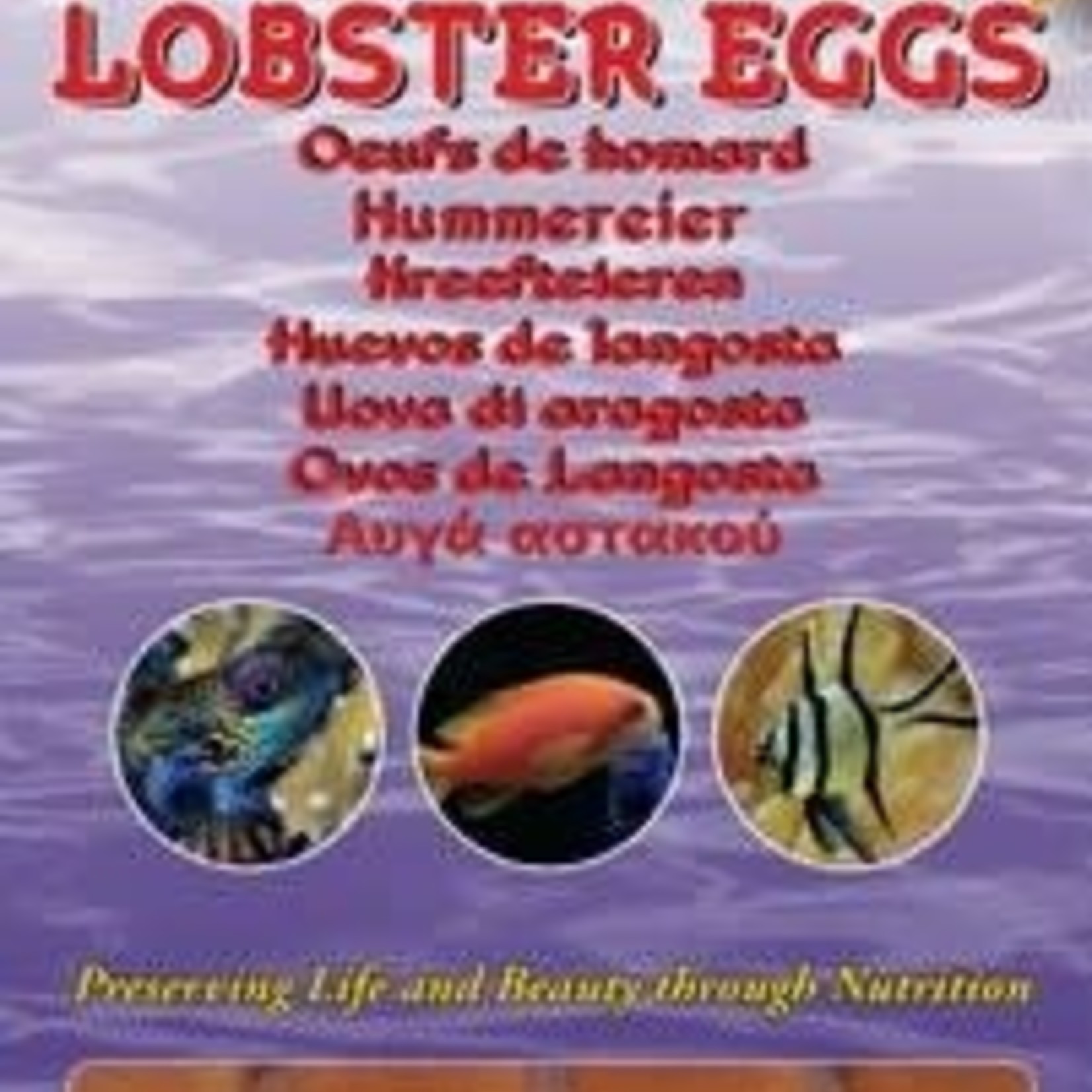 Ocean Nutrition Lobster eggs - frozen 100gr