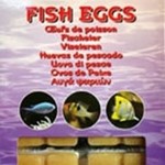 Ocean Nutrition Fish eggs