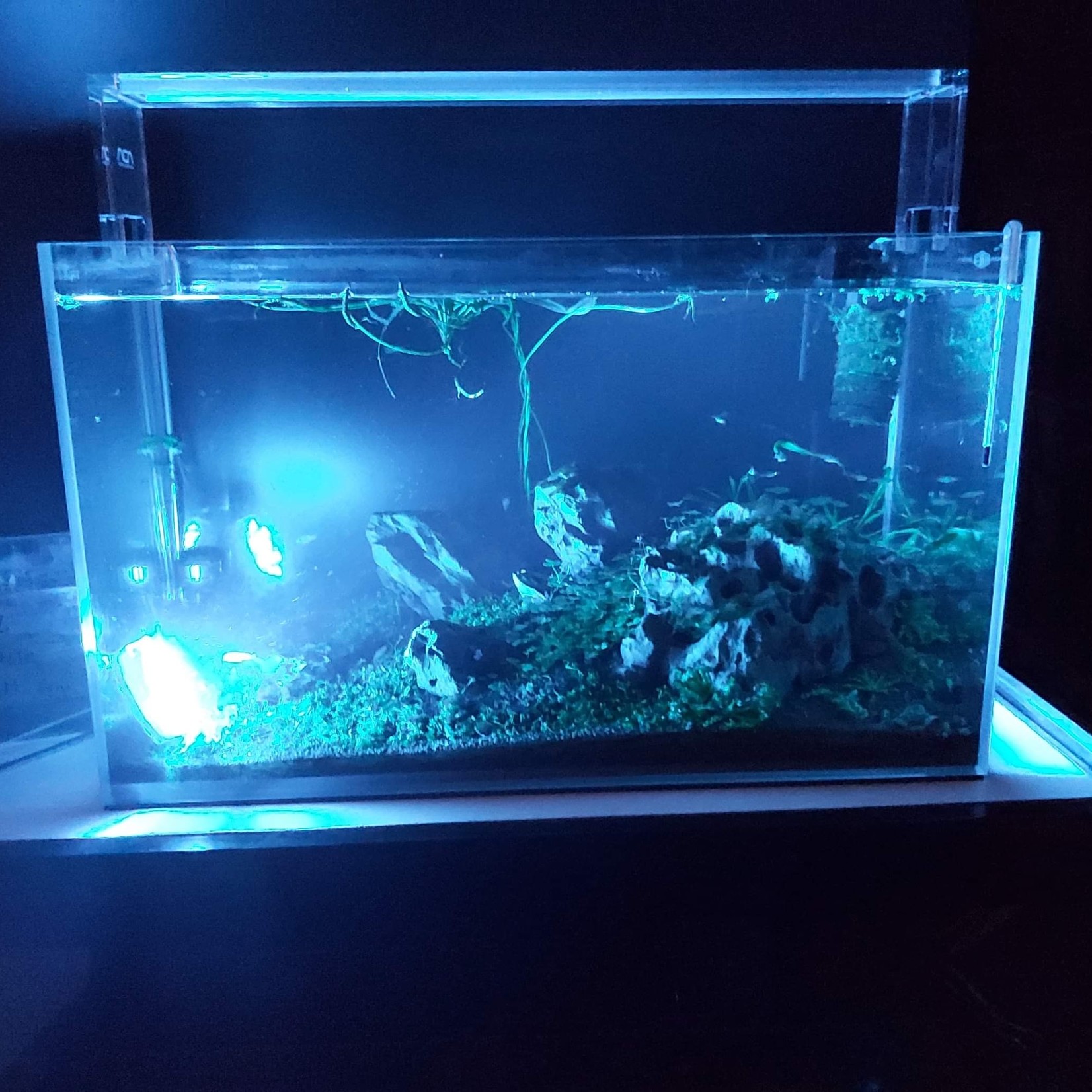 NLS Led RGB submersible