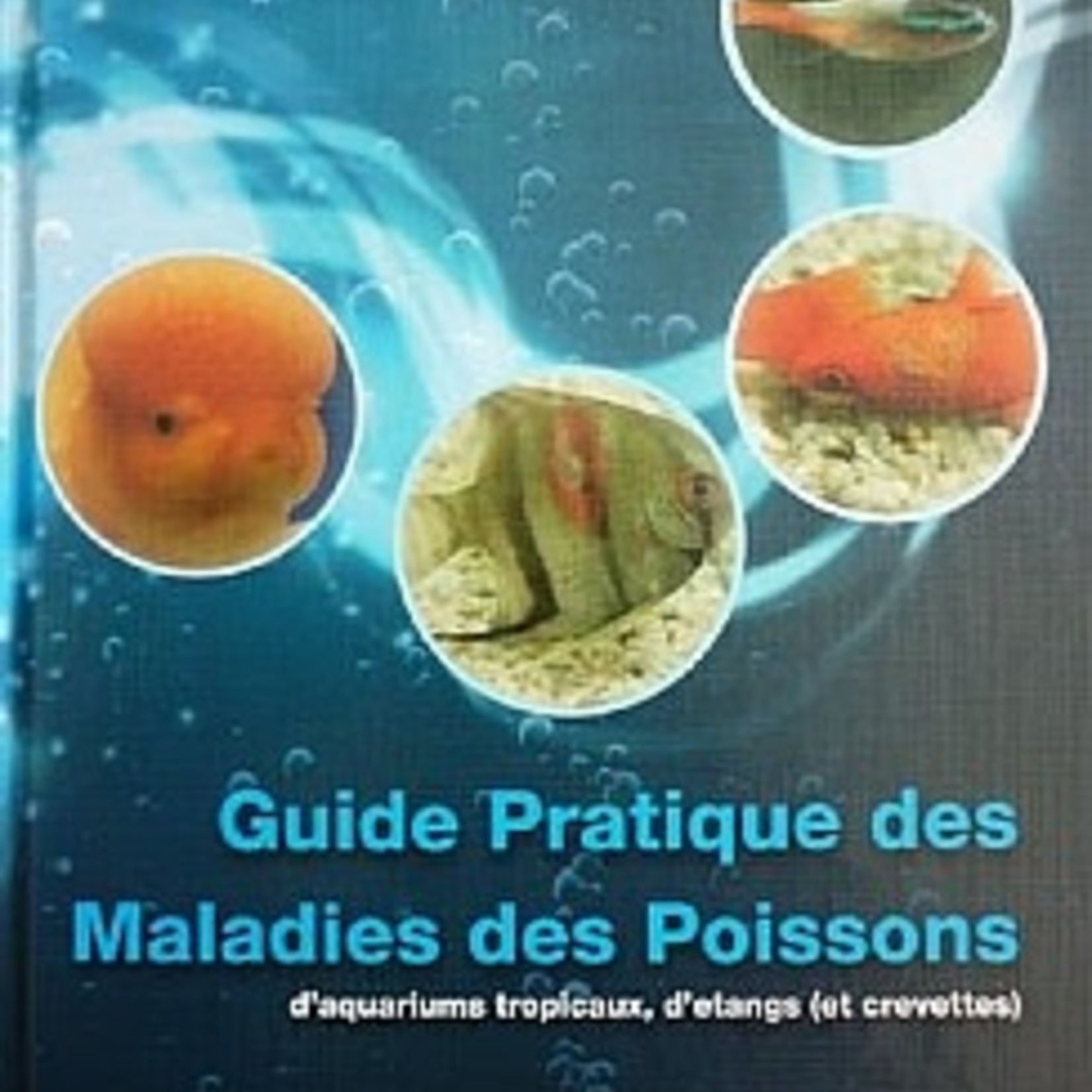 Dr Bassleer Guide pratique des Maladies