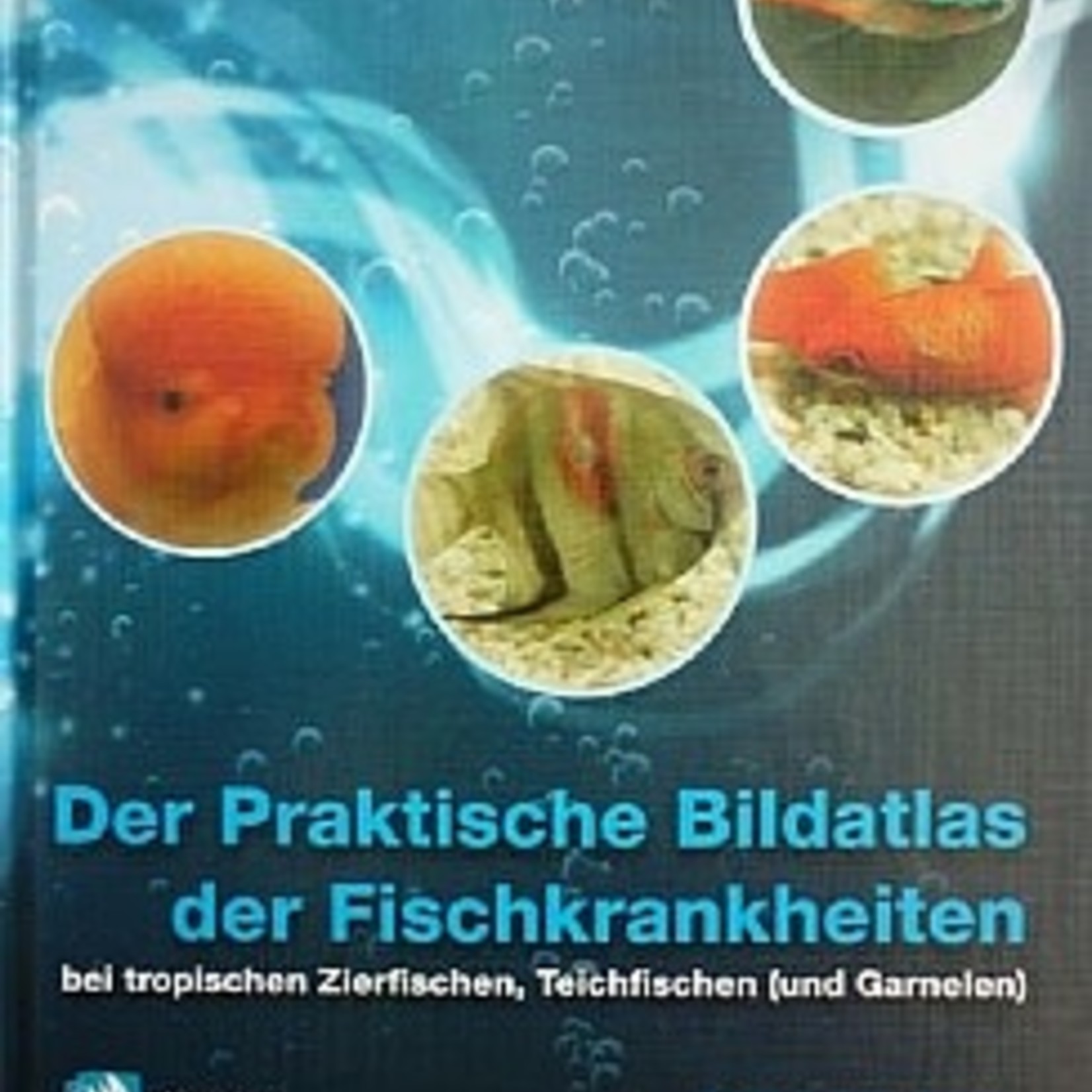 Dr Bassleer Practical Guide to Diseases