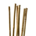 NLS Bamboo stakes