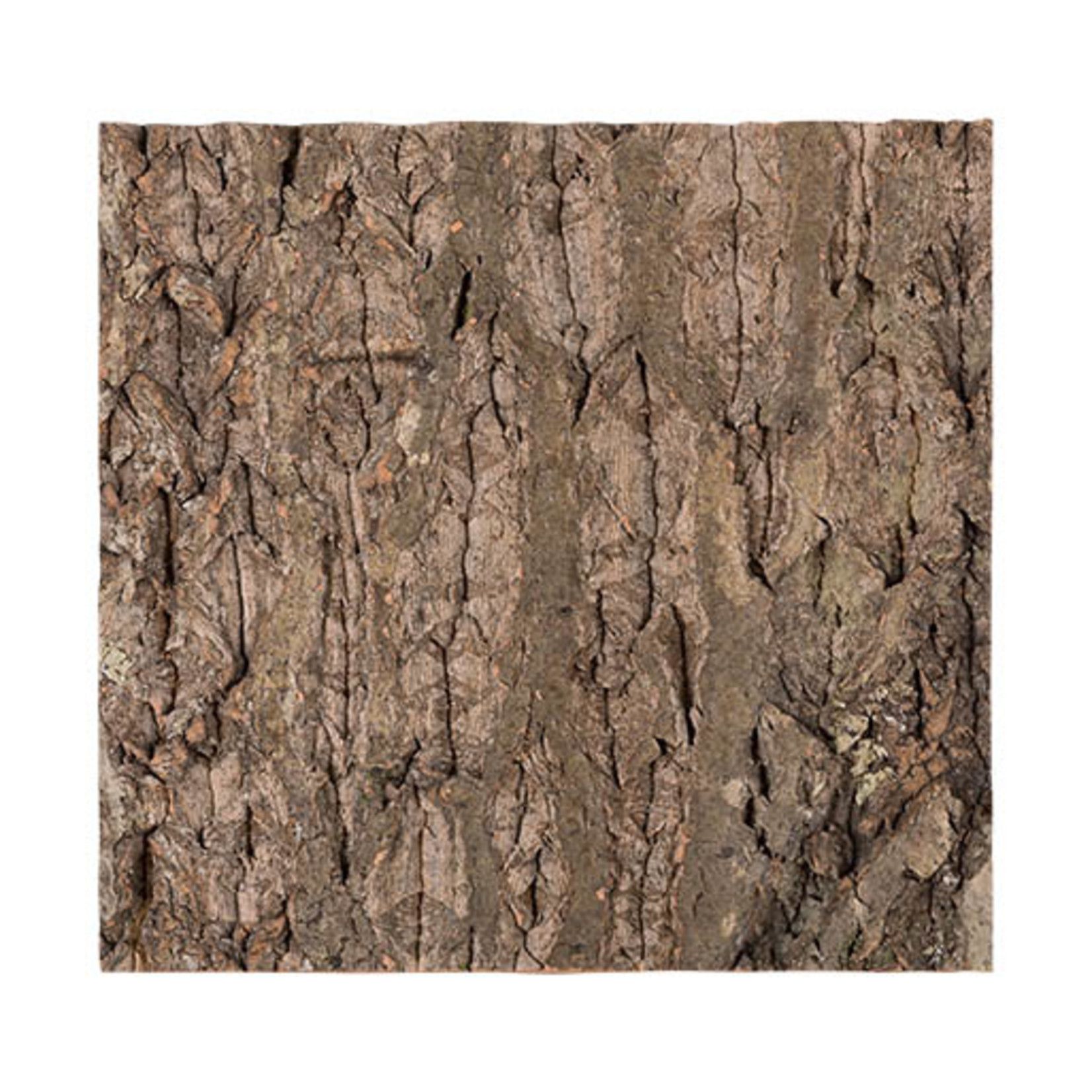 ReptiZoo Cork bark - NATURAL CORK TILE BACKGROUND