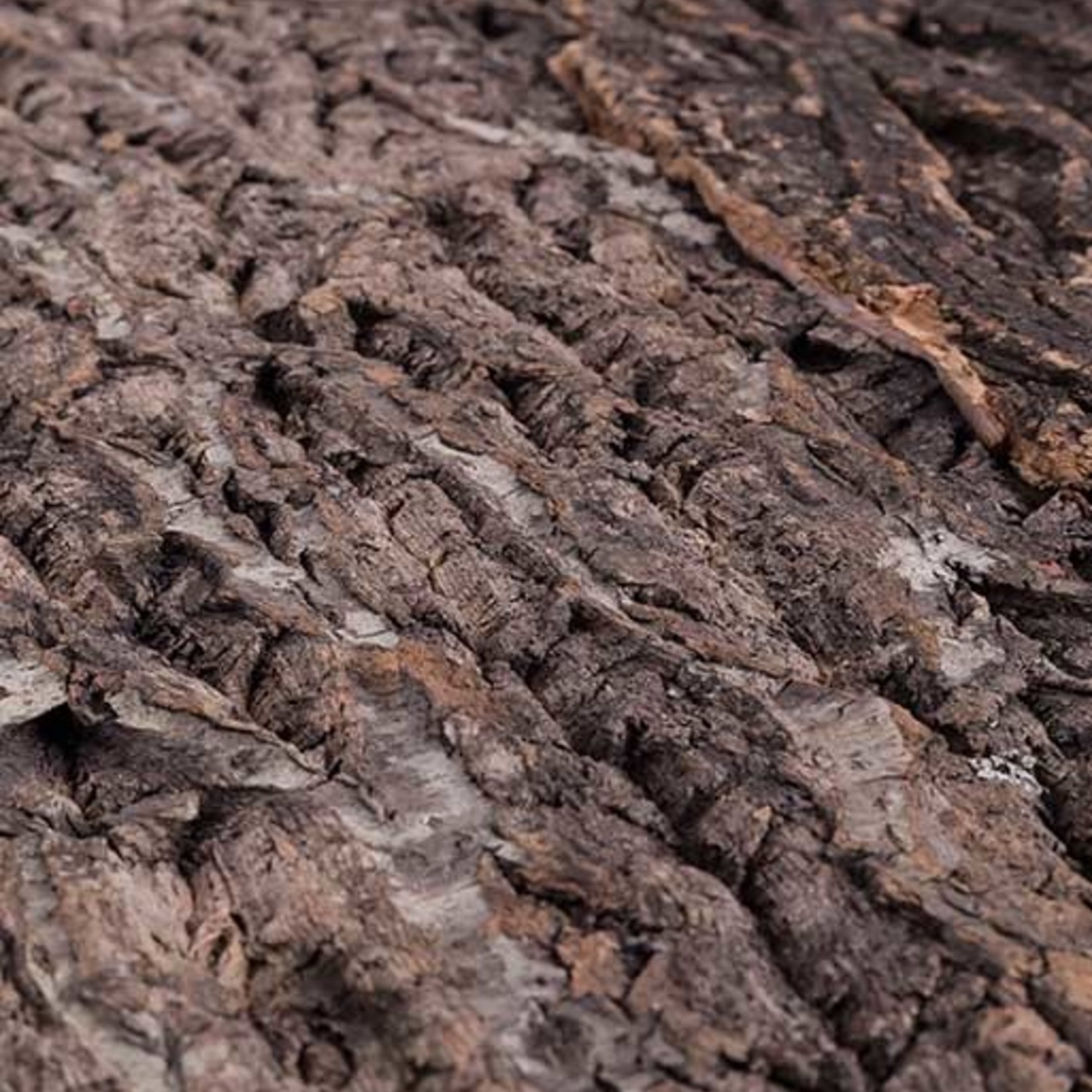 ReptiZoo Kurkschors - NATUURLIJKE KURKTEGEL ACHTERGROND