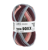 Lang Yarns Twinnsoxxcolor - 317 - Brazil