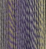 Schoppel Wolle Zauberball Crazy - Nr. 2514 - Geheimrat