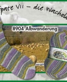 Schafpate 7 - 8904 - Abendwanderung