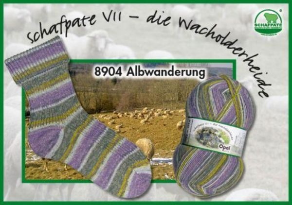 Opal Schafpate 7 - 8904 - Abendwanderung