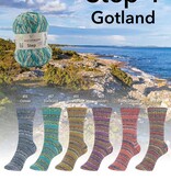 Austermann Step  4 - Gotland - 471 - Raukar