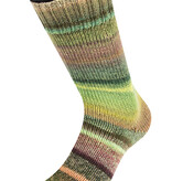 Lana Grossa Meilenweit Rainbow - 6402 - groen/grijs