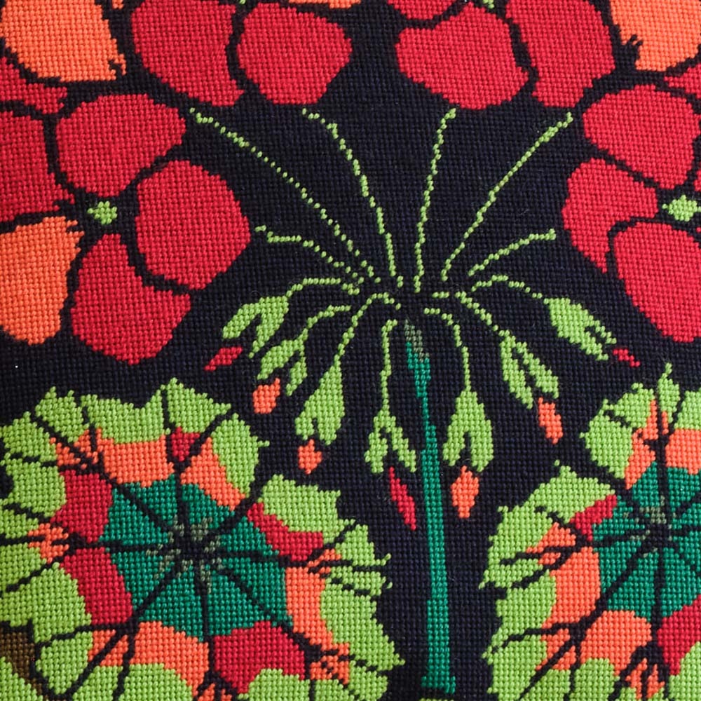 Ehrman De Graag Pelargonium