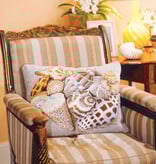 Ehrman Shells on the sand