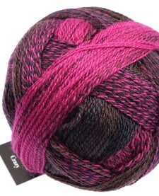 Zauberball Crazy - Nr. 2082 - Charisma