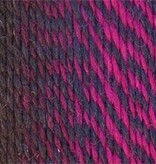 Schoppel Wolle Zauberball Crazy - 2082 - Charisma