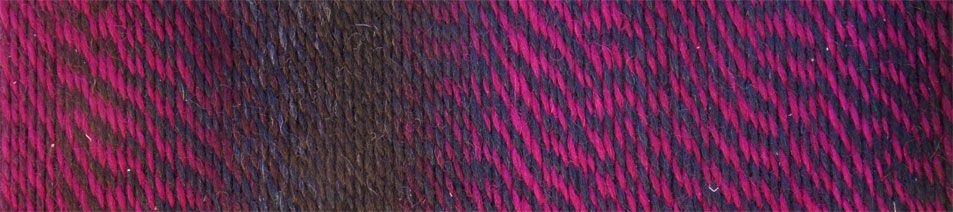 Schoppel Wolle Zauberball Crazy - 2082 - Charisma