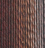 Schoppel Wolle Zauberball Crazy - Nr. 2544 - Late Autumn Inspiration Kieran Foley