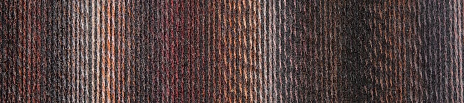 Schoppel Wolle Zauberball Crazy - Nr. 2544 - Late Autumn Inspiration Kieran Foley