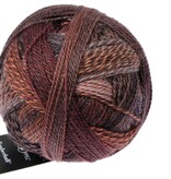 Schoppel Wolle Zauberball Crazy - Nr. 2544 - Late Autumn Inspiration Kieran Foley
