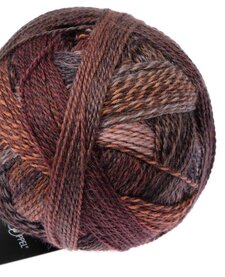 Zauberball Crazy - Nr. 2544 - Late Autumn Inspiration Kieran Foley