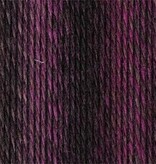 Schoppel Wolle Zauberball Crazy - Nr. 2543 - Dark Roses Inspiration Kieran Foley