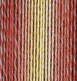 Schoppel Wolle Zauberball Crazy - Nr. 2545 - Early Automn Inspiration Kieran Foley