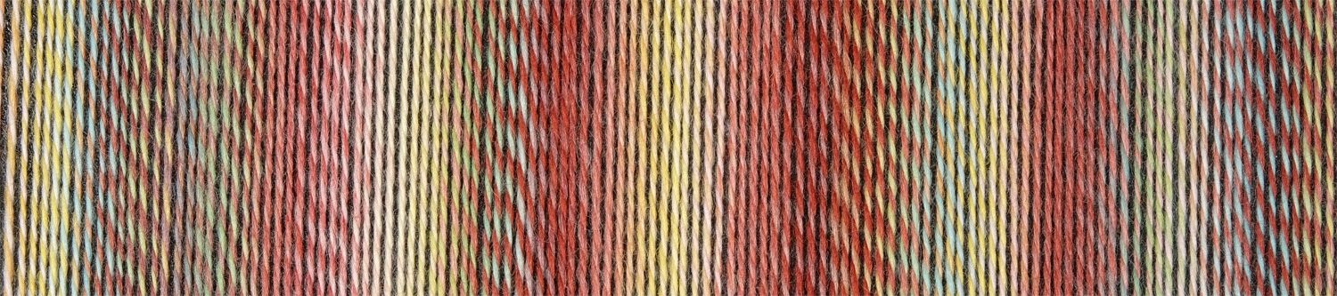 Schoppel Wolle Zauberball Crazy - Nr. 2545 - Early Automn Inspiration Kieran Foley