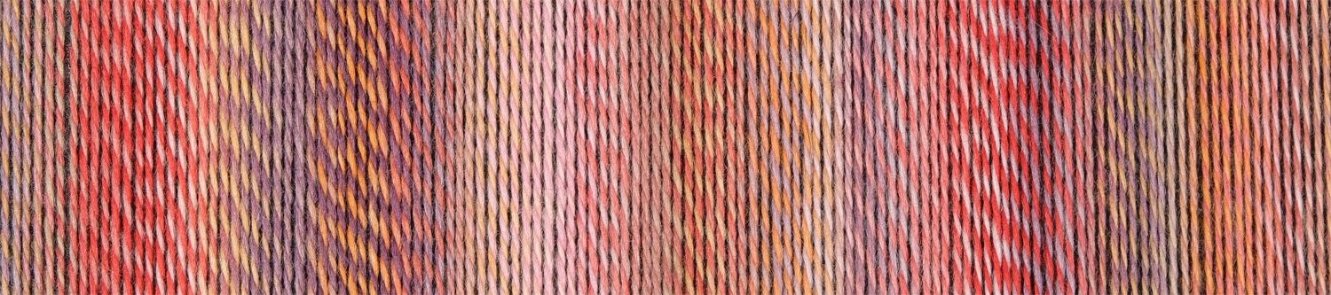 Schoppel Wolle Zauberball Crazy - Nr. 2546 - Warm Botanical Garden Inspiration Kieran Foley