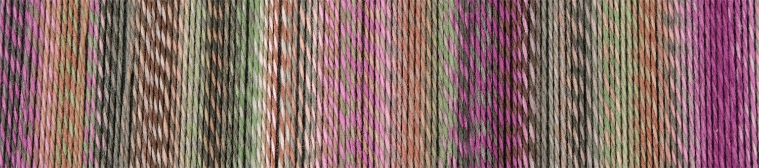 Schoppel Wolle Edition 3 - Nr. 2629 - Aurora