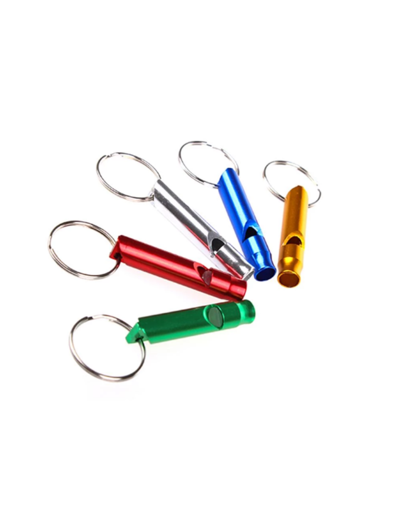 Children Aloy whistle - emergency whistle - key ring silver