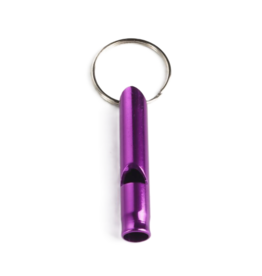 Children Aloy whistle purple