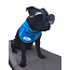 AFP Chill-Out Bandana M