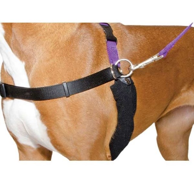 The Happy At Heel Harness, 71-92 cm (L)