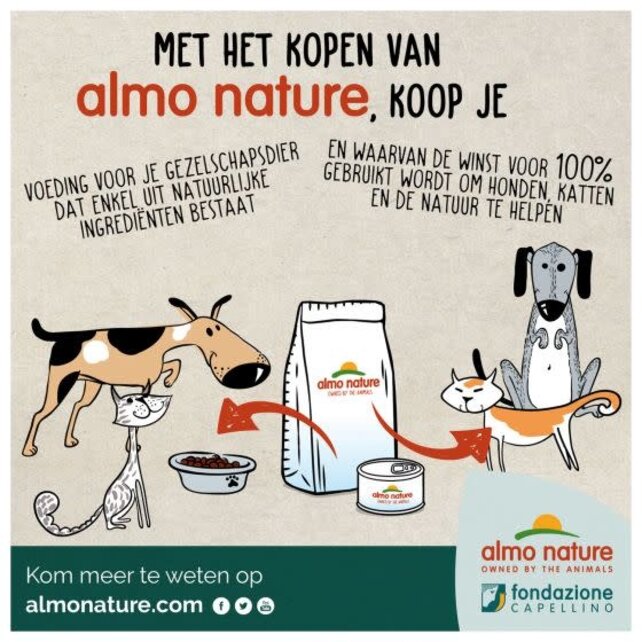 Kat Holistic Droogvoer Kitten Kip 400g Kat Holistic Droogvoer Kitten Kip 400g
