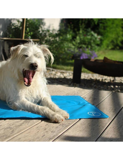 Cooling mat (koelmat) M Blue