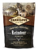 Reindeer Adult 1,5 kg