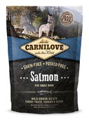 Salmon Adult 1,5 kg Salmon Adult 1,5 kg
