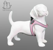 Fibbia Verstelbaar Roze 2,5-6kg