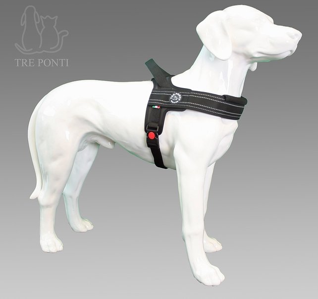 Primo Plus Zwart Reflective M 10-20kg