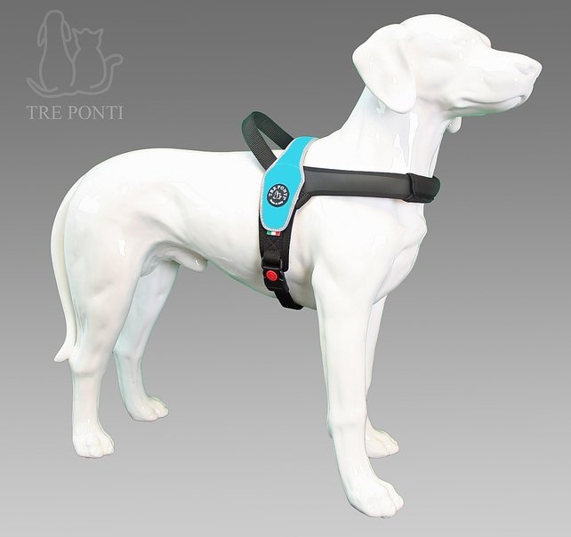 Primo Blauw Reflective XXL 30-40kg