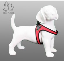 Fibbia Rood Standaard 5-6kg (2,5)