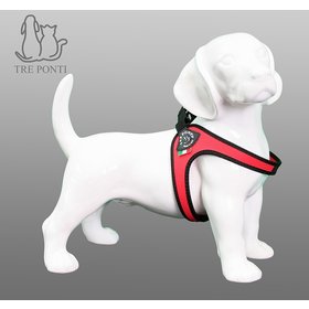 Fibbia Rood Standaard 5-6kg (2,5)